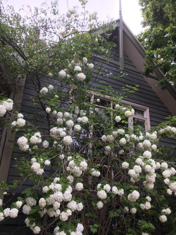 Oak Tree Lodge Rhyll 외부 사진