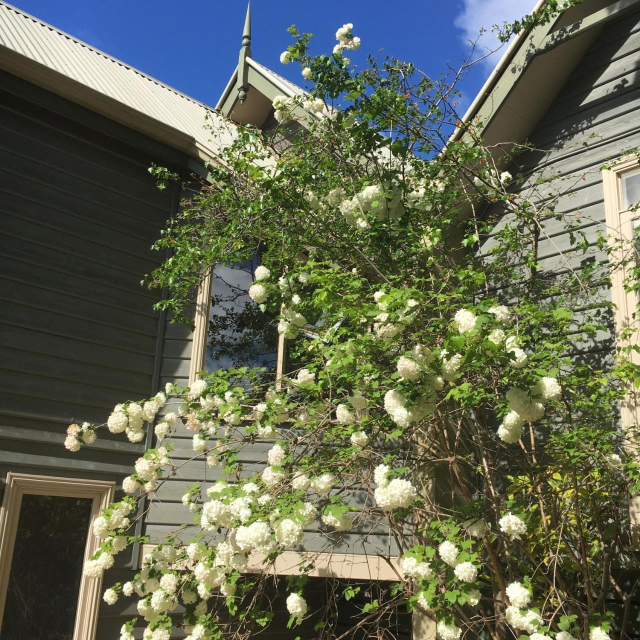 Oak Tree Lodge Rhyll 외부 사진